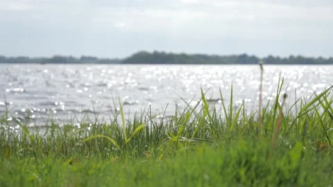 A view beside the lake Stock Footage 154348908