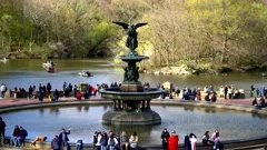 Bethesda Fountain, Central Park Hyperlap, Stock Video