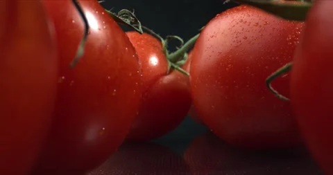 View between large ripe tomatoes. Tomatoes with water drops. A bunch of wet Stock Footage 143376064