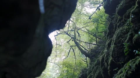 View between natural mountain formation under tree and clear blue sky Stock Footage 145842224
