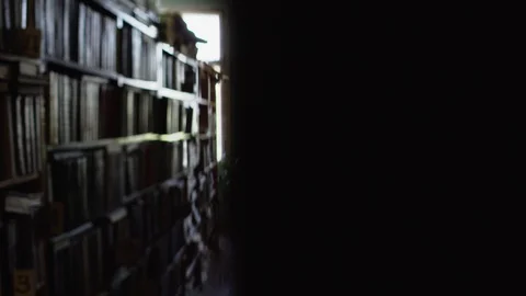 View between rows in the library. Video stock 94331867