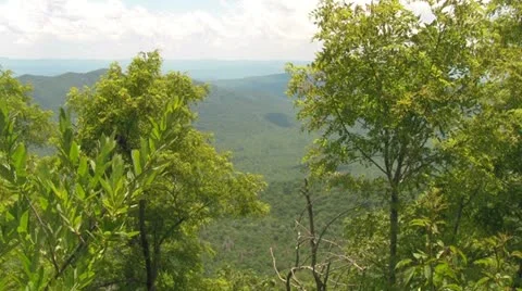 View Between Trees to the Blue Ridge Mountains in the Background Stock Footage 14939484