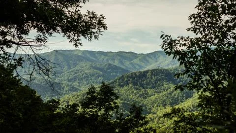 View between trees to green forest hills in Smoky Mountains Stock Photos