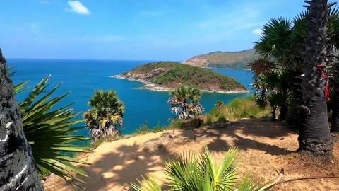 View between the trees on a small island. Stock Footage 243280020