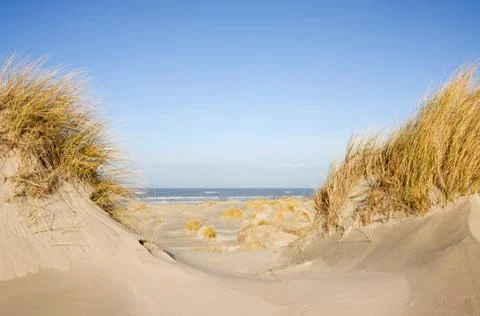 View between two dunes vast beach and sea Foto stock