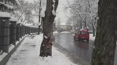 View between two trees on wet roadway,cars passing on street,snow winter season. Stock Footage 101245078