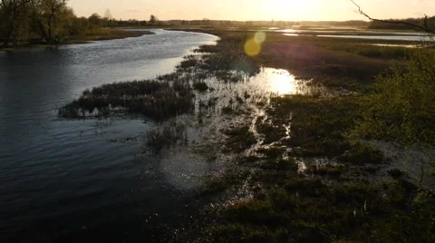 View of Biebrza River 스톡 동영상 68072243