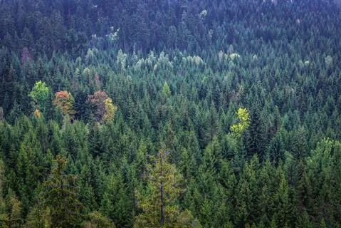 View from Bird Mount in Table Mountains in Sudetes, Poland Stock Photos