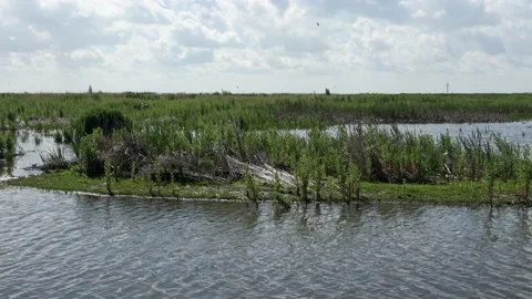 View from the bird spotters hut Video stock 218433936