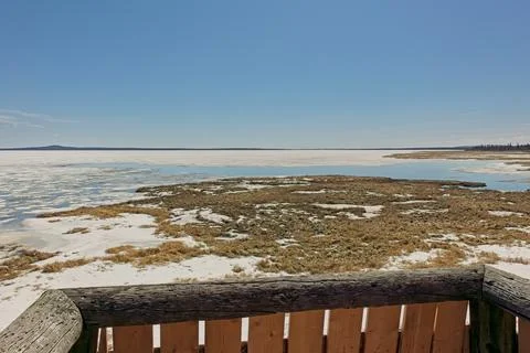 View from bird watching tower. Stock Photos