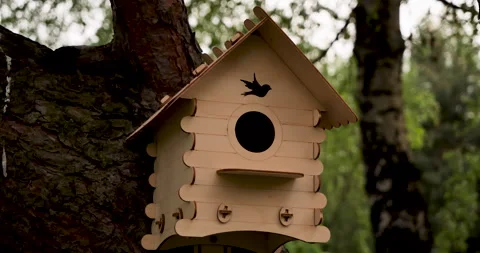 View of the birdhouse installed, made on a laser cut plywood machine 動画素材 243414475