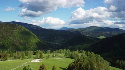 View from a bird's eye view, mountainous landscapes of forests and green meadows 動画素材 197044342