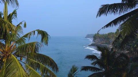 View of the Black beach of Varkala through the Palm trees Stock Footage 93261959