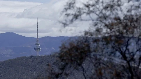 View of Black Mountain Canberra Видео 119751601