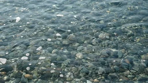 View of the Black Sea. Stock Footage 141359287