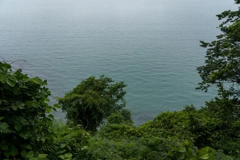View of the Black Sea from a height down. Botanical garden in Georgia Stock Photos