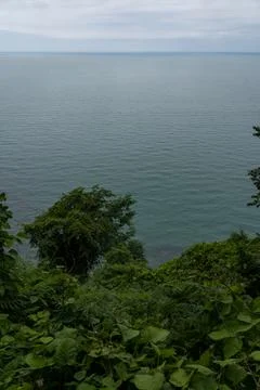View of the Black Sea from a height down Botanical garden in Georgia Stock Photos