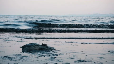 View of the black slime on the seashore, ecology problems. Stock Footage 201632140