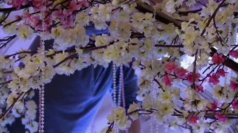 View of blossom tree decorated with beads Video stock 44161126