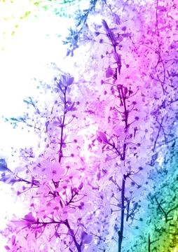 View of a blossoming cherry tree. Toning. The concept of abstraction, plants. Stock Photos