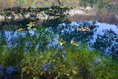 View of blue lake with reflection Фото