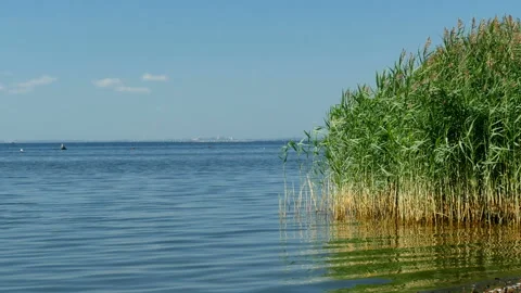 View of the blue lake in summer Stock Footage 101502541