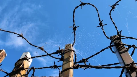 The view of the blue sky and the barb wires Stock Footage 122651967