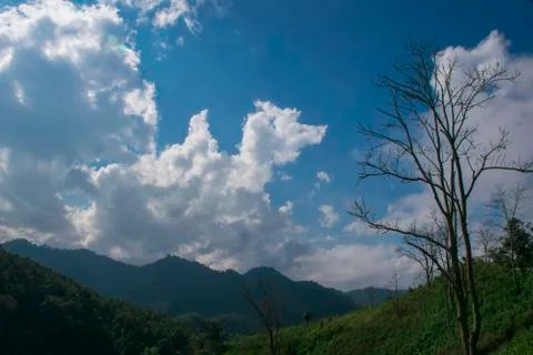 View blue sky and cloud over green tree on mountain, Thailand Umphang Stock Photos