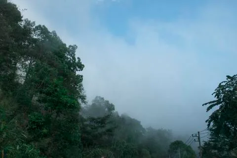 View blue sky and cloud over green tree on mountain, Thailand Umphang Stock Photos
