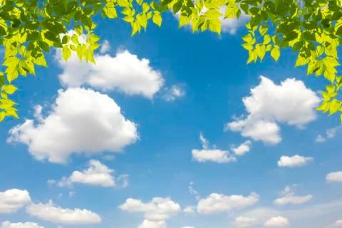 View as Blue sky and clouds with the Leaves Stock Photos