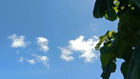 The view of the blue sky Stock Footage 238683487