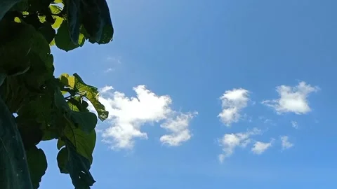 The view of the blue sky Stock Footage 238683556