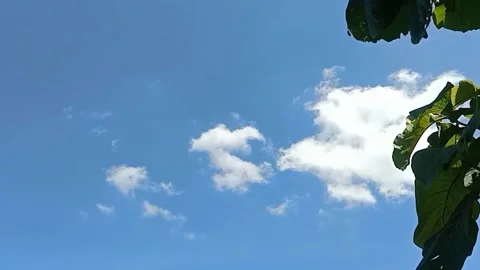 The view of the blue sky Stock Footage 238683650