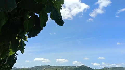 The view of the blue sky Stock Footage 238683651