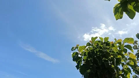 The view of the blue sky Stock Footage 238683923