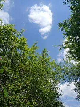 View of the blue sky 스톡 사진