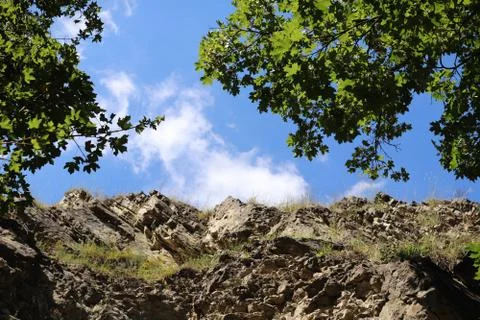 View of the blue sky through the maple leaves Stock Photos
