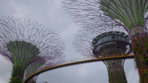 View of blue sky from under the super tree and bridge Stock Footage 115272509