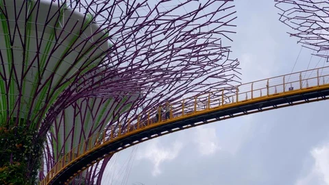 View of blue sky from under the super tree and bridge in Singapore Stock Footage 115272741