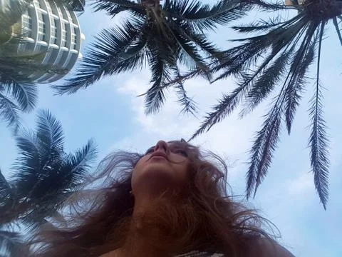 View on the blue sky with white clouds and palm tree from bottom Stock Photos
