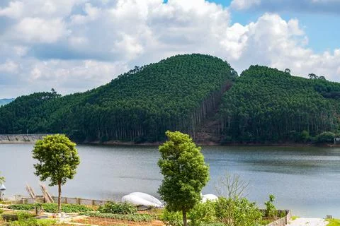View of blue sky, white clouds and green hills and forest at outdoor reservoir Stockfoto's