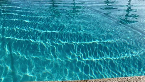 View of blue swimming pool from the bottom to the sky with the palm trees Stock Footage 169760094