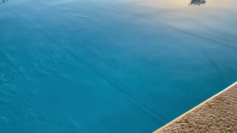 View of blue swimming pool from the bottom to the sky with the palm trees Stock Footage 170793736