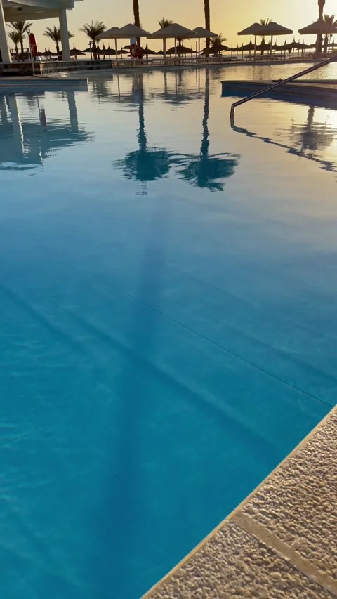 View of blue swimming pool from the bottom to the sky with the palm trees landsc Stock Footage 170858568