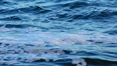 View of the blue waves with foam on the sea Stock Footage 229895463