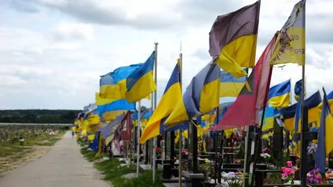 View on blue-yellow flags at countless graves of ukrainian soldiers alley o.. Stock Photos