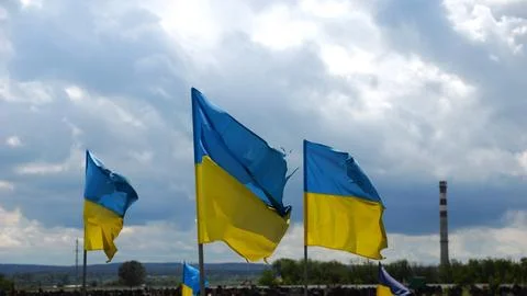 View on blue-yellow flags at countless graves of ukrainian soldiers alley o.. Stock Photos