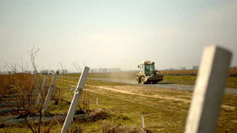 View of blueberry fields and a tractor riding along the road on a sunny day. Stock Footage 180654283