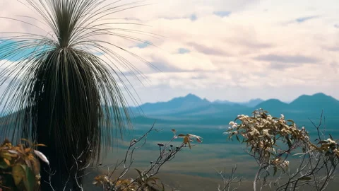 View of Bluff Knoll, the highest peak of the Stirling Range in the Great Souther Video stock 294617855