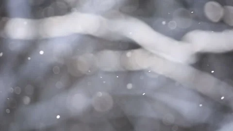 View of a blurred winter background of trees and flying sparkling snow in the fo Stock Footage 150582942